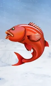 Ice Fishing